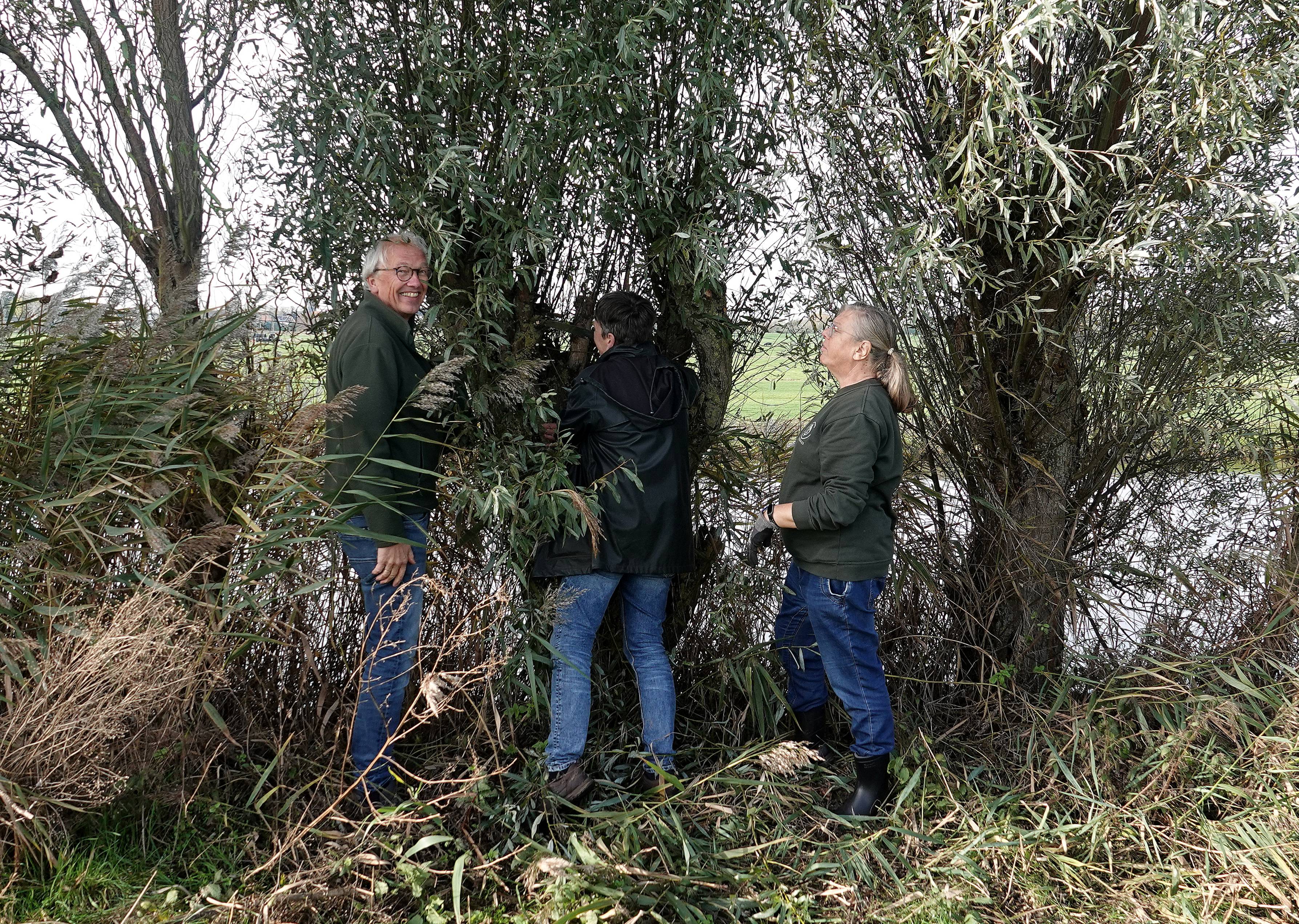 (Hazerswoude). Foto van Ko Katsman.
Koperwiek vrijwilligers plaatsen de nestkasten